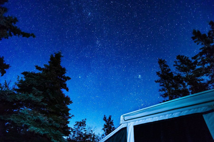 Night Sky Full Of Stars Above An Rv Tent Trailer And Tall Pine T